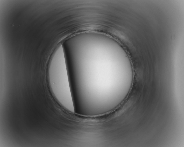 X0000090741073200707201009