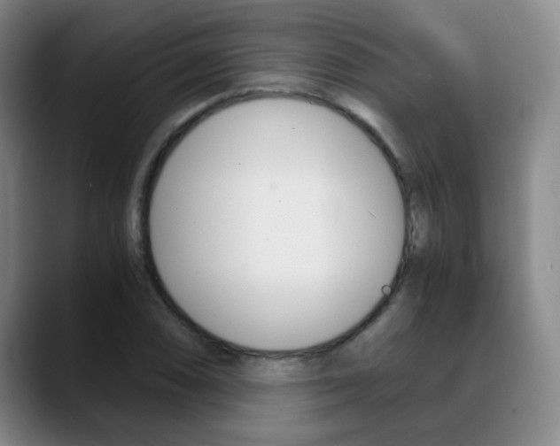 X0000090741074200707201009