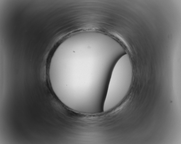 X0000090741075200707201009