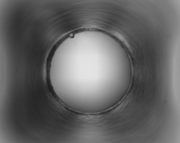 X0000090741076200707201009