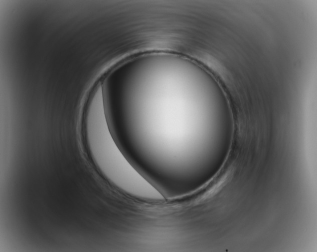 X0000090741077200707201009