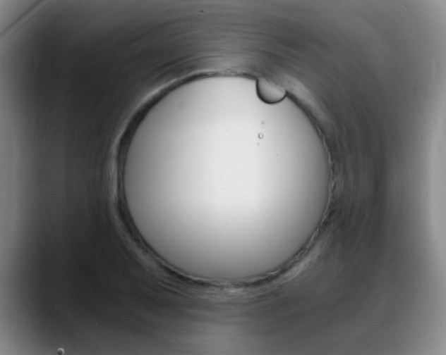 X0000090741079200707201009