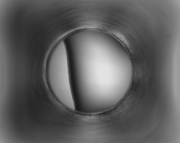 X0000090741080200707201009