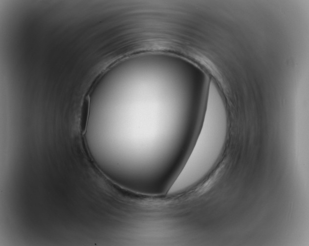 X0000090741081200707201009