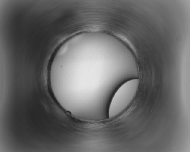 X0000090741083200707201009