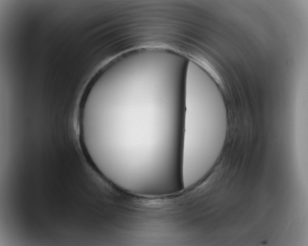 X0000090741084200707201009