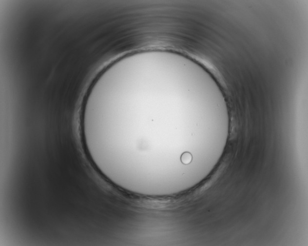 X0000090741086200707201009