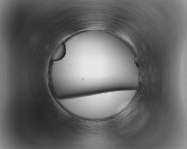 X0000090741087200707201009