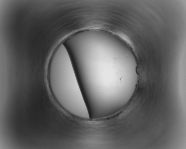 X0000090741088200707201009