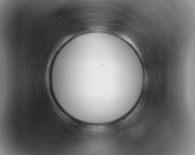 X0000090741090200707201009