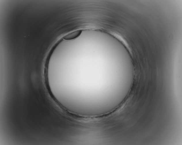 X0000090741091200707201009