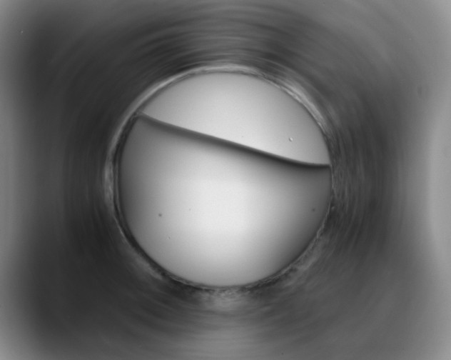 X0000090741092200707201009