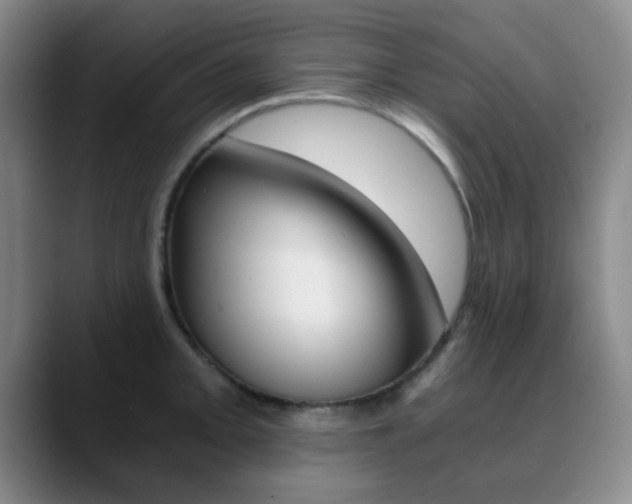 X0000090741093200707201009