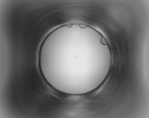 X0000090741094200707201009