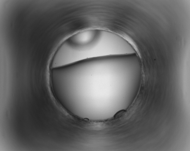 X0000090741096200707201009