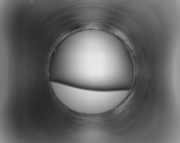 X0000090741097200707201009