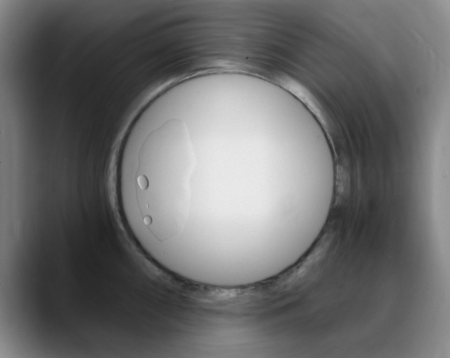 X0000090741098200707201009