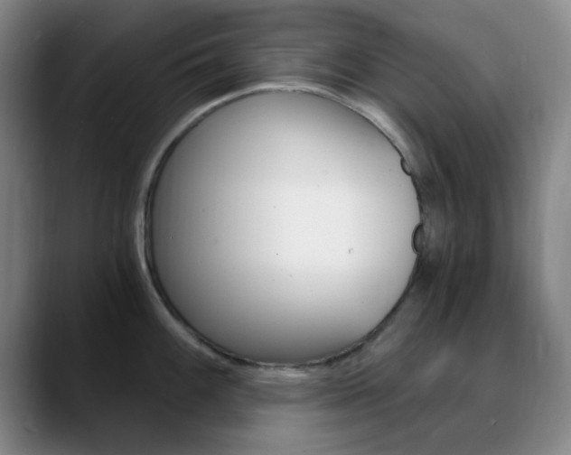 X0000090741100200707201009