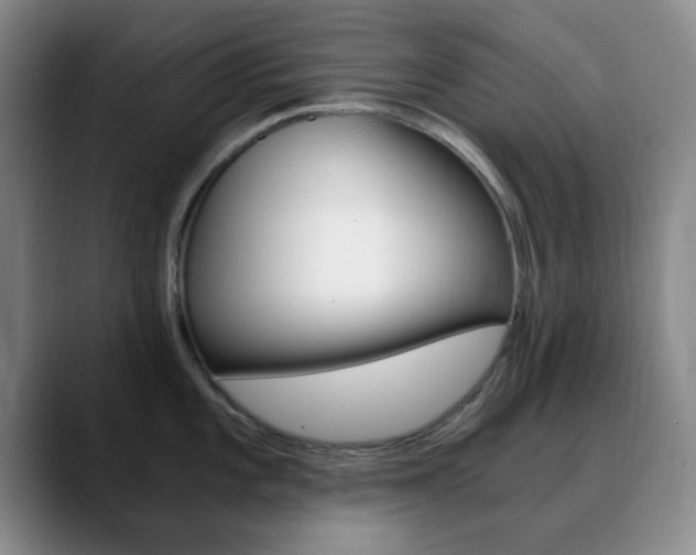 X0000090741101200707201009