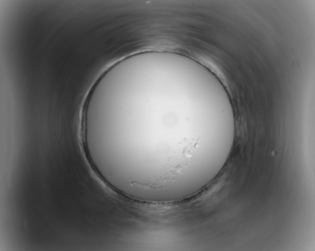 X0000090741103200707201009