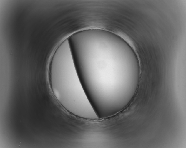 X0000090741104200707201009