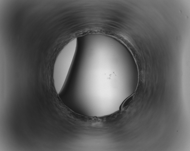 X0000090741111200707201008