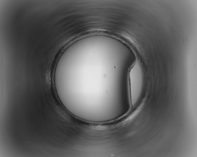 X0000090741113200707201008