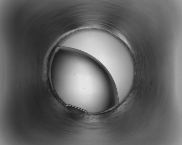X0000090741116200707201008