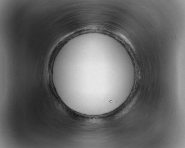 X0000090741117200707201008
