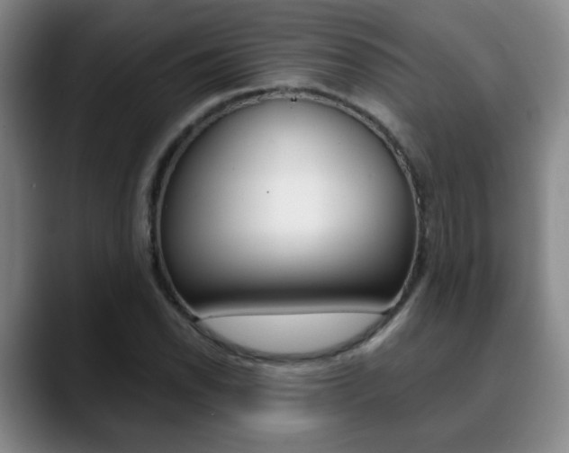 X0000090741118200707201008