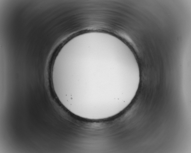 X0000090741122200707201008