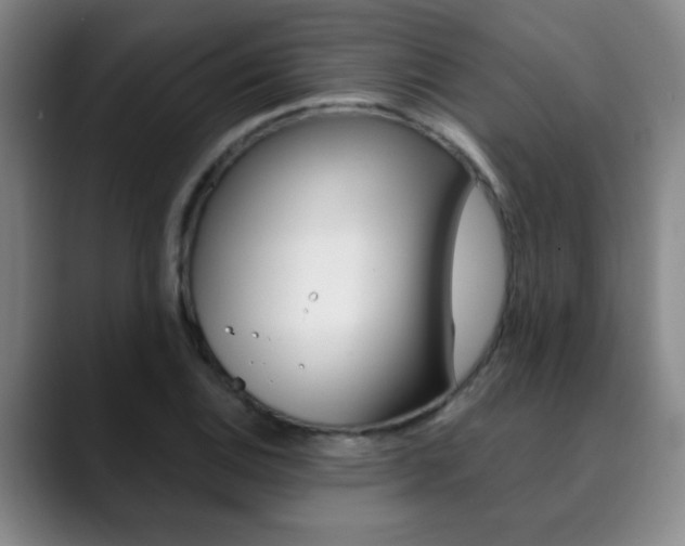 X0000090741124200707201008