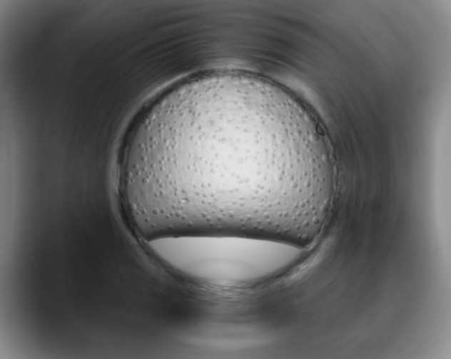 X0000090741125200707201008