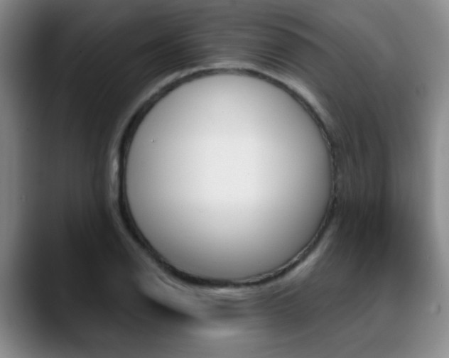 X0000090741126200707201008