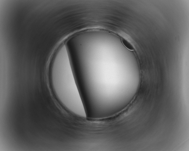 X0000090741127200707201008