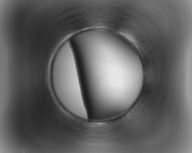 X0000090741135200707201008