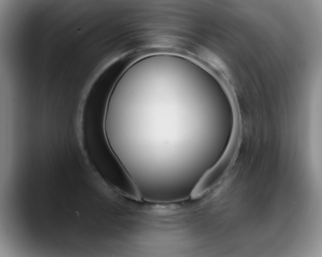 X0000090741138200707201008
