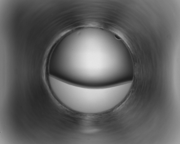X0000090741139200707201008