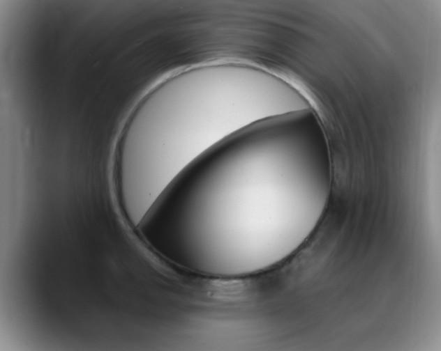 X0000090741142200707201008