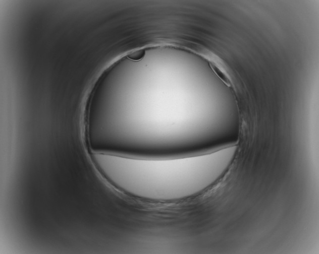 X0000090741143200707201008
