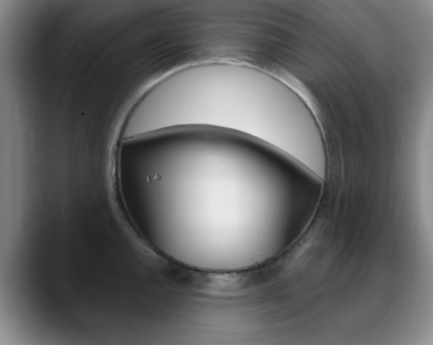 X0000090741144200707201008