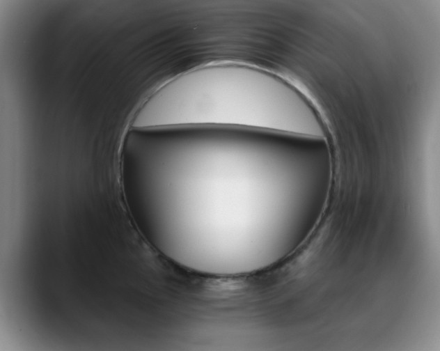 X0000090741145200707201008