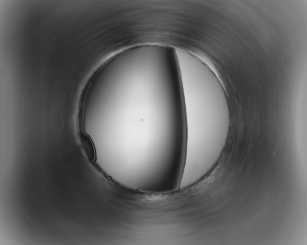 X0000090741147200707201008