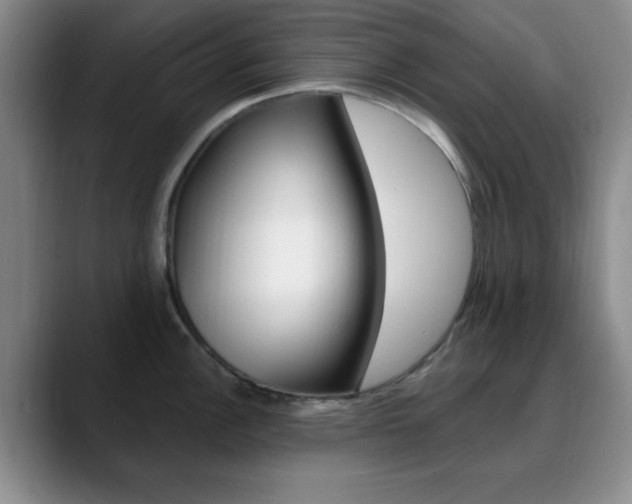 X0000090741148200707201008