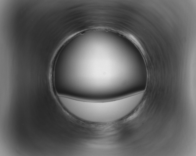 X0000090741149200707201008