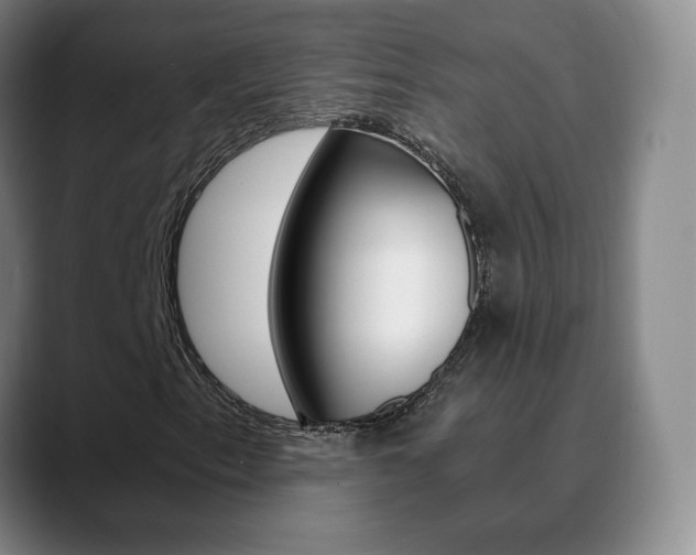 X0000090741153200707201008