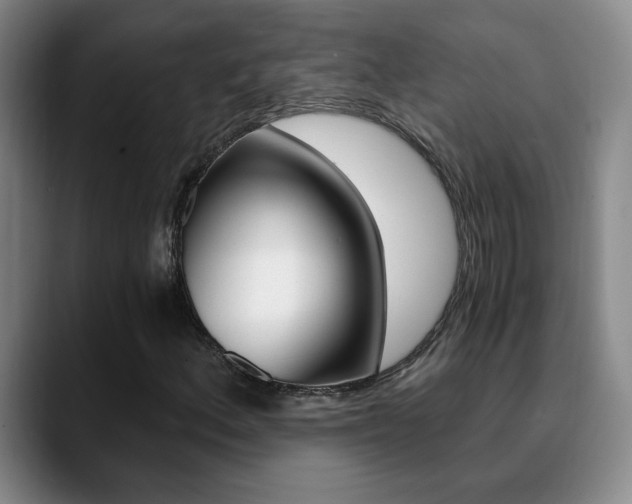 X0000090741156200707201008