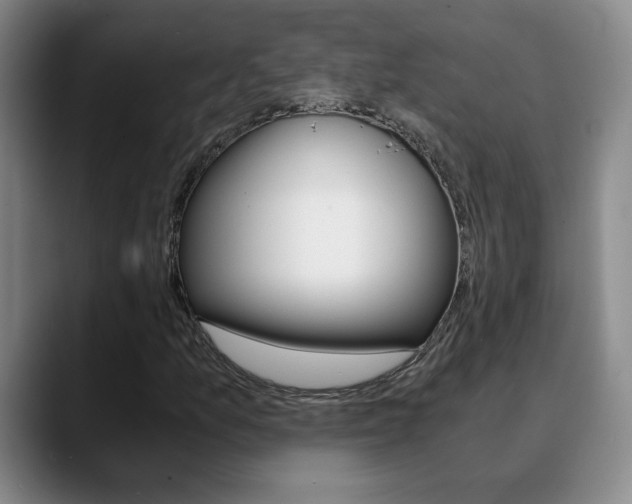 X0000090741157200707201008