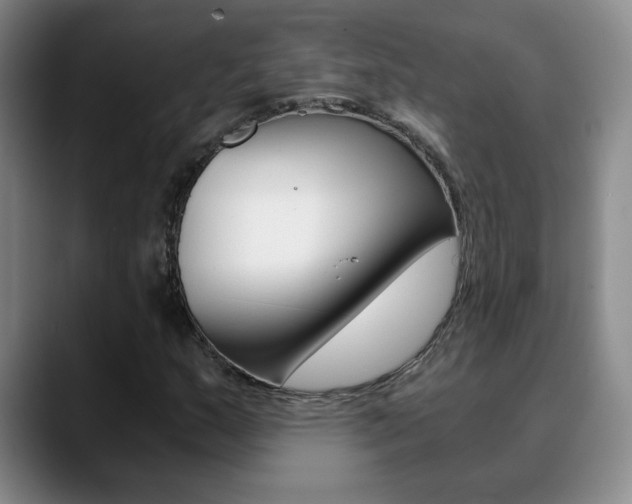 X0000090741159200707201008