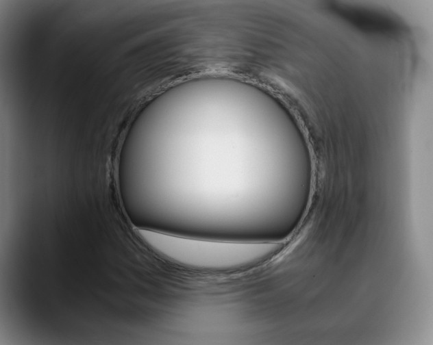 X0000090741161200707201008